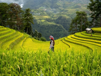 Tin tức mới